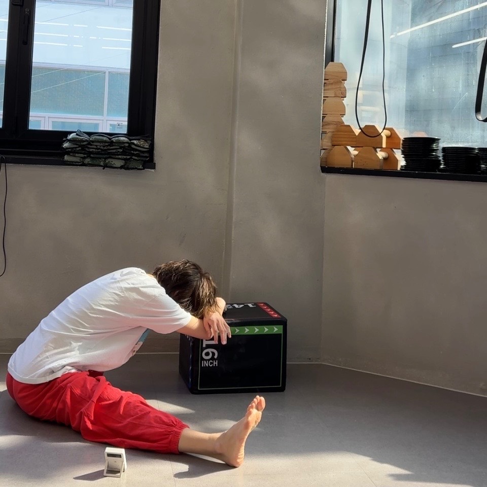 핸드스탠드 프레스업 훈련 루틴